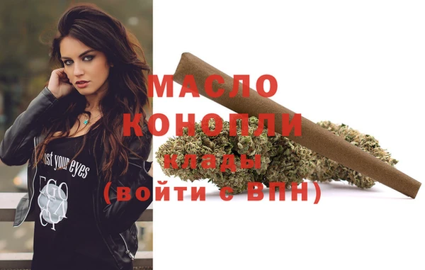 индика Горнозаводск