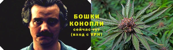 mdpv Протвино