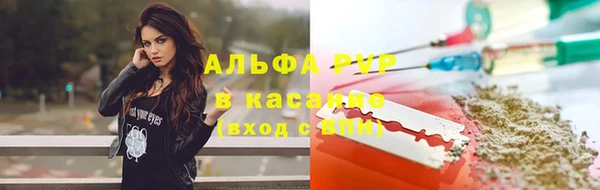 ешки Арсеньев