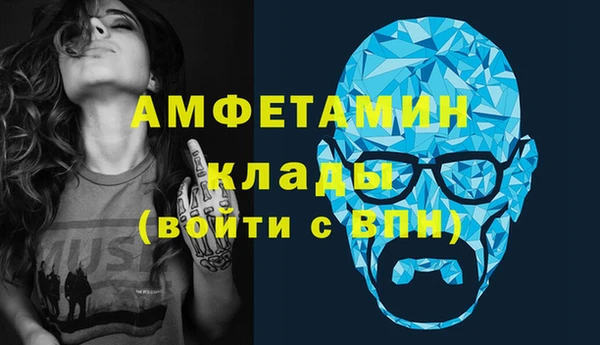 индика Пушкино
