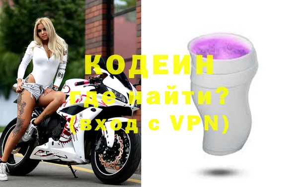 индика Горнозаводск