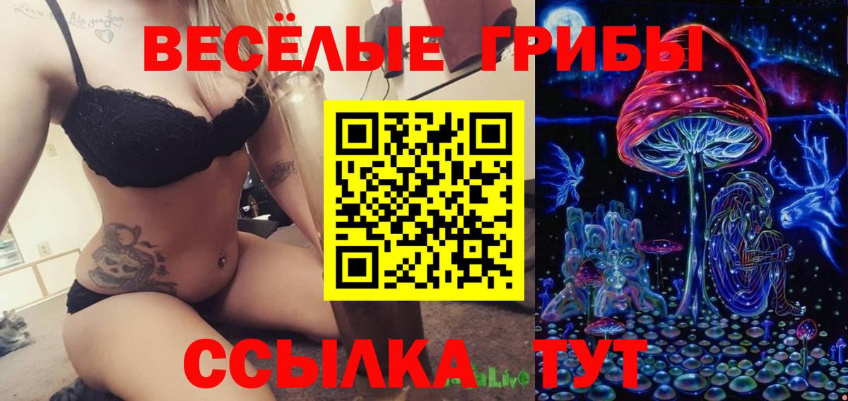 Гудермес  Псилоцибиновые грибы GOLDEN TEACHER  Псилоцибиновые грибы MAGIC MUSHROOMS  Вход с VPN 
