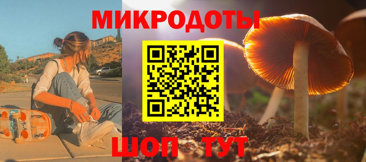 Псилоцибиновые грибы Psilocybe  Гудермес 